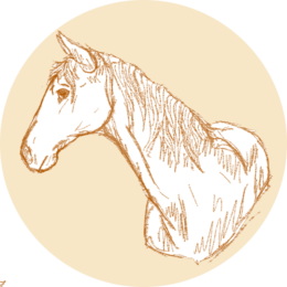 services-horse